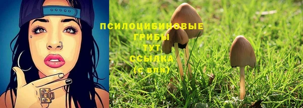 бошки Алексин