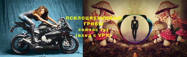 индика Абинск